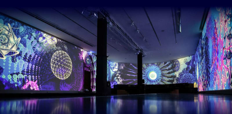 Simulation Projectors